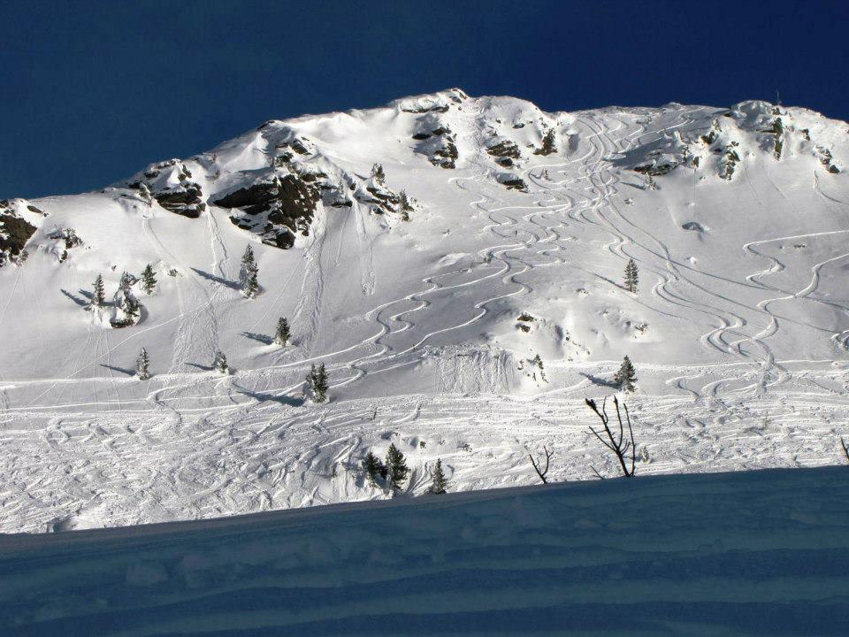 Landgut Hotel Plannerhof Planneralm Eksteriør billede