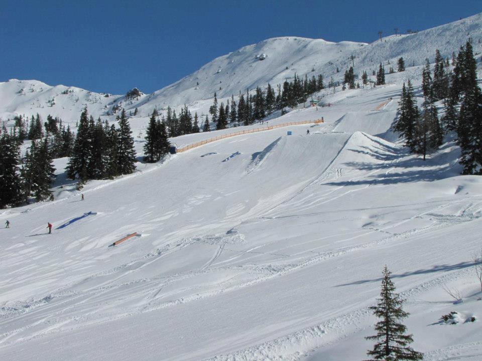 Landgut Hotel Plannerhof Planneralm Eksteriør billede