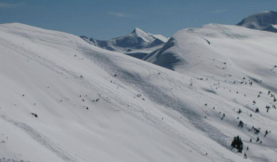 Landgut Hotel Plannerhof Planneralm Eksteriør billede