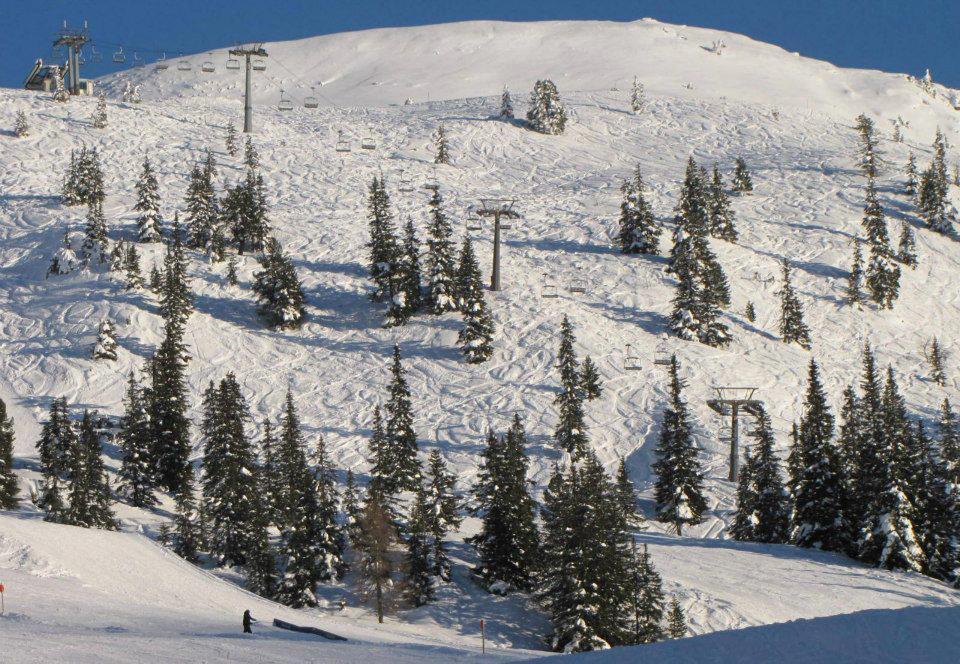 Landgut Hotel Plannerhof Planneralm Eksteriør billede
