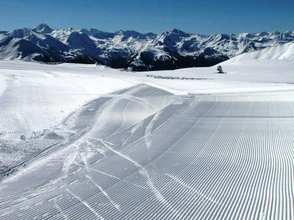 Landgut Hotel Plannerhof Planneralm Eksteriør billede